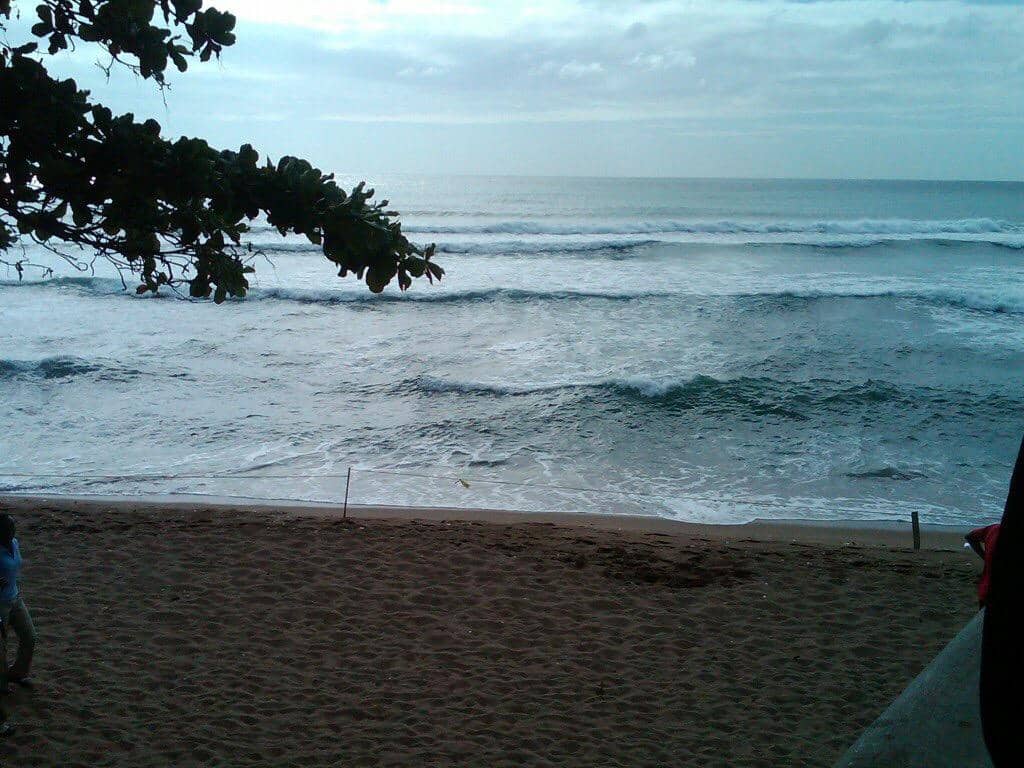 Surf's Up!