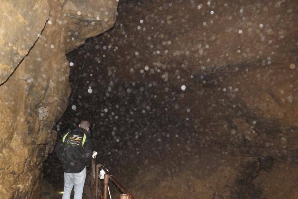 Birds of Prey Centre