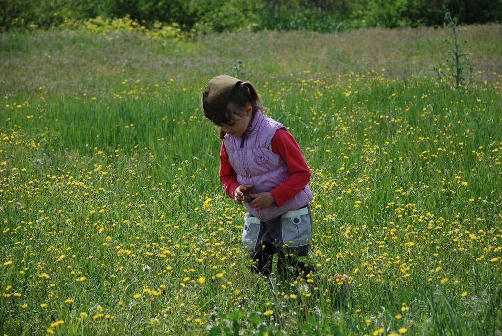 Hall of Military Glory