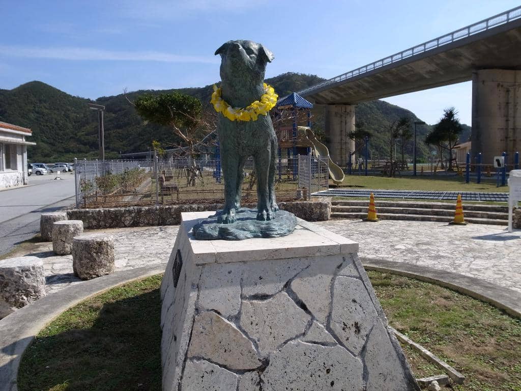 Highlights