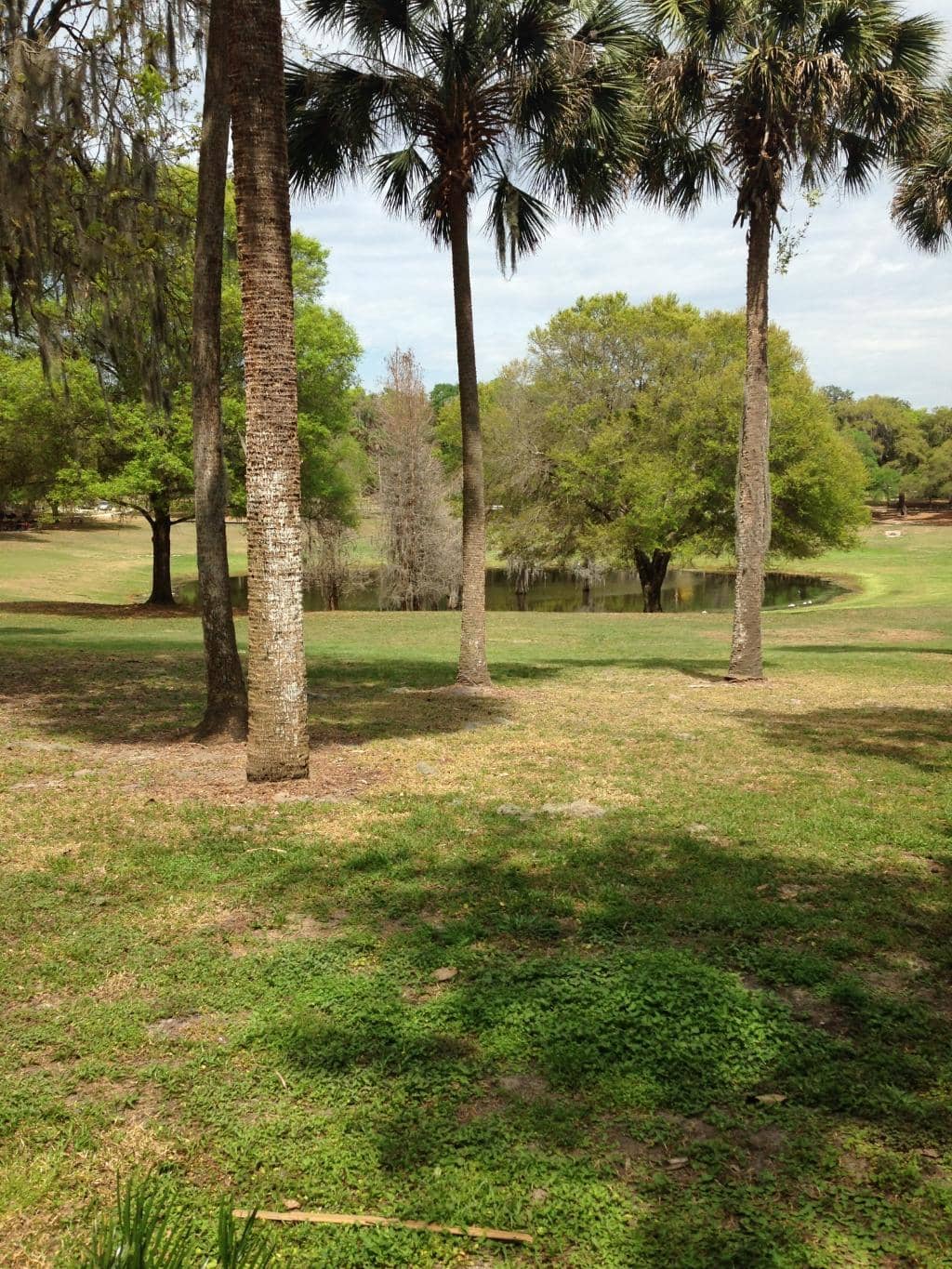 Butterfly Garden