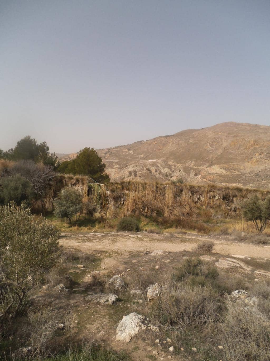 Megalithic Park Views
