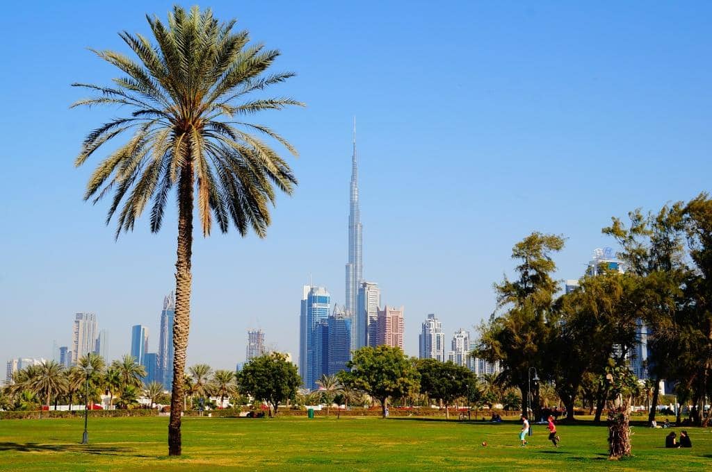 Children's Play Area