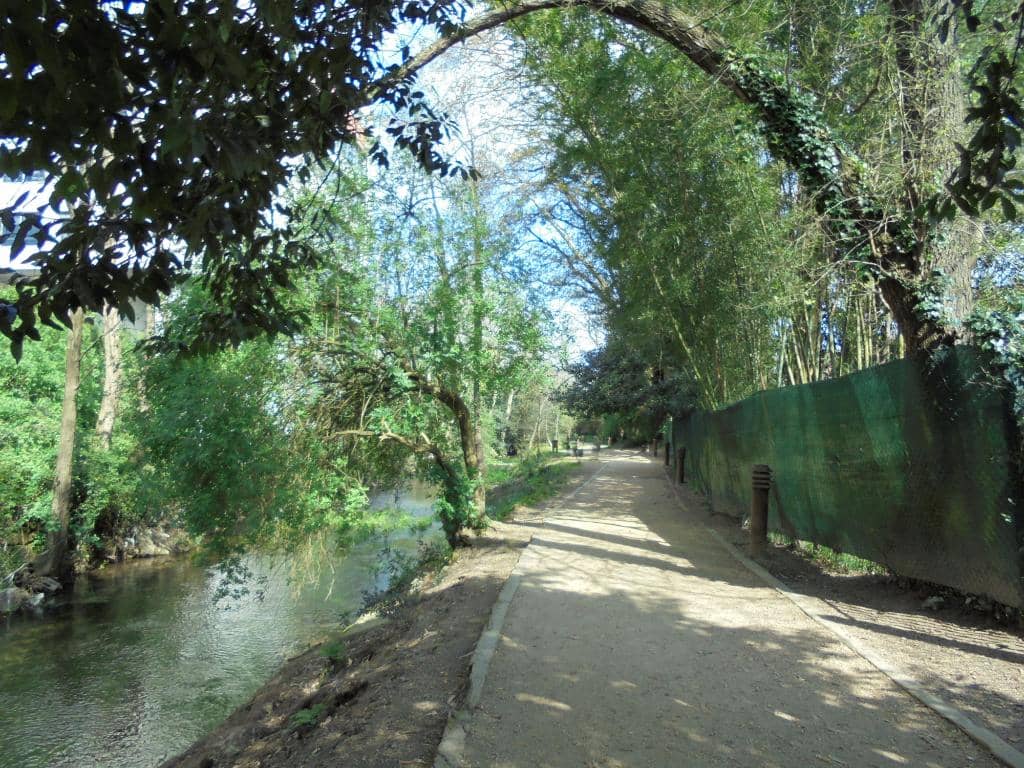 Dog-Friendly Paths