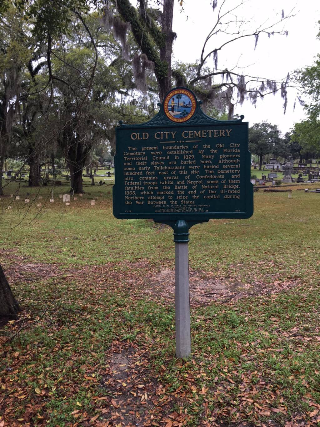 Confederate Section