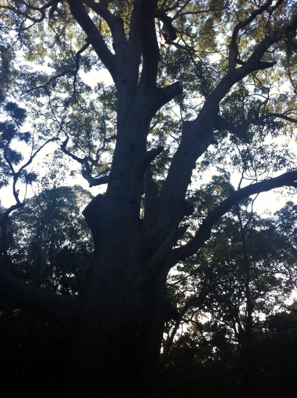 Vertical photo