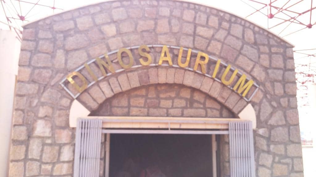 Dinosaur Fossil Exhibit