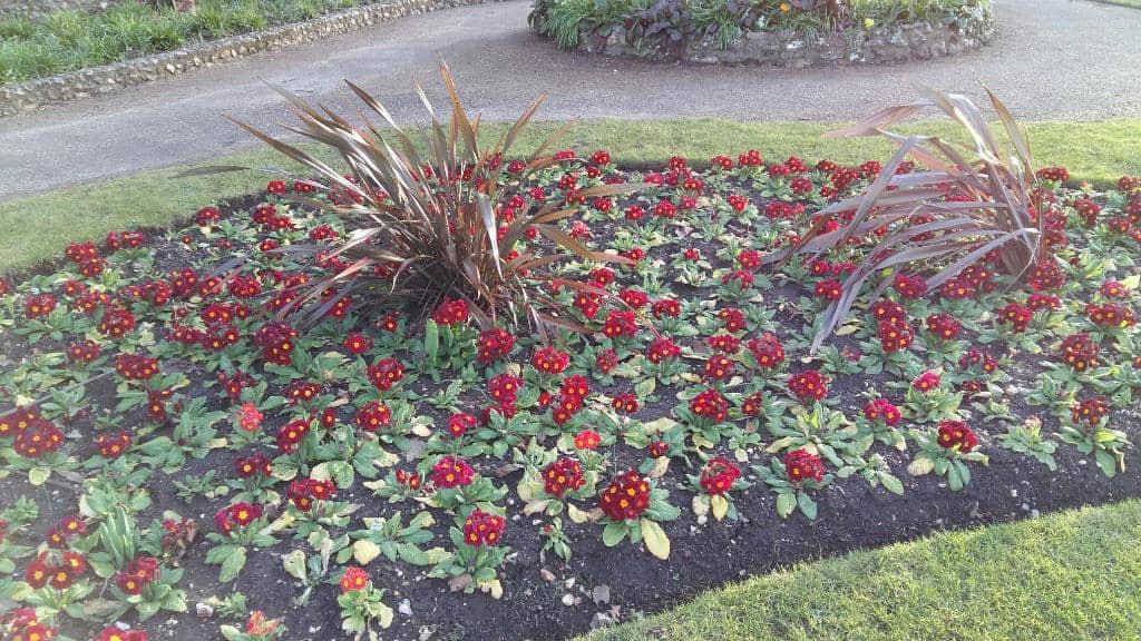 Victorian Gardens