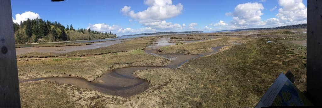 Wildlife Viewing Platforms