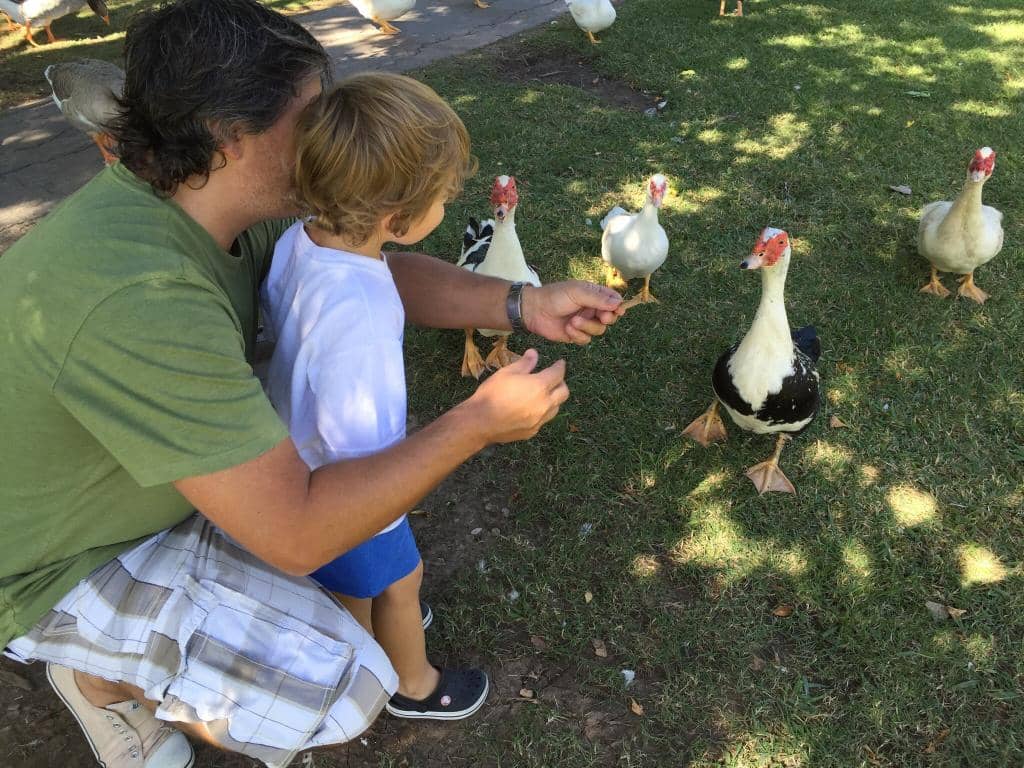 Interactive Play Areas
