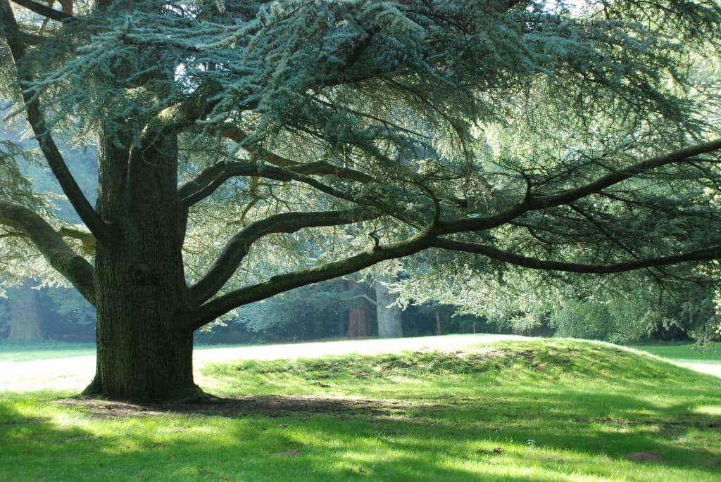 Walled Garden