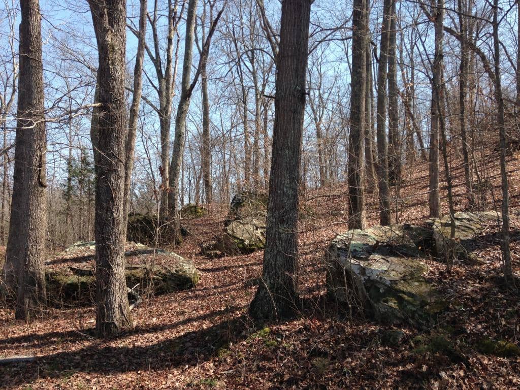 Sandstone Boulders