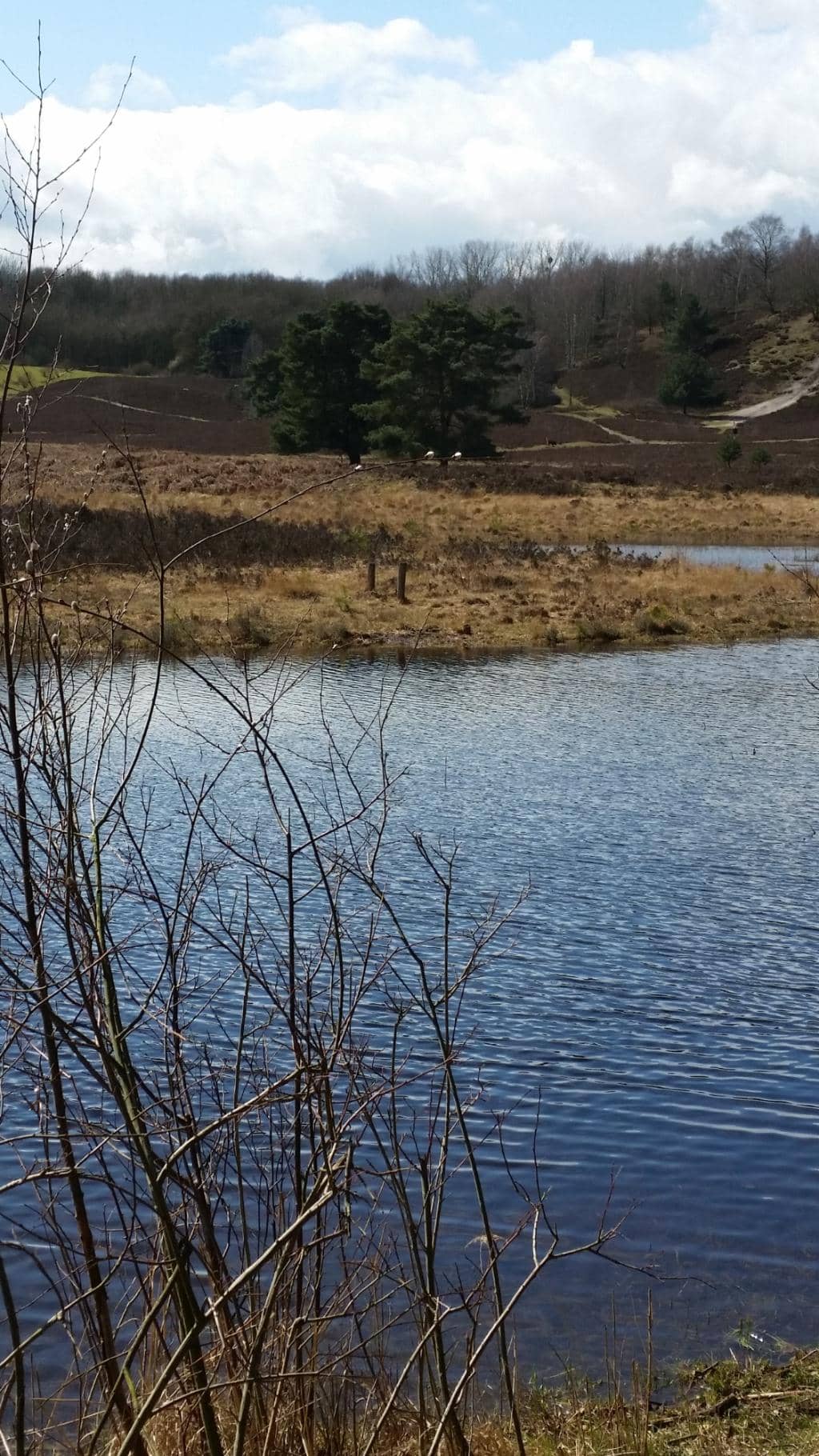 Rode Beek Area