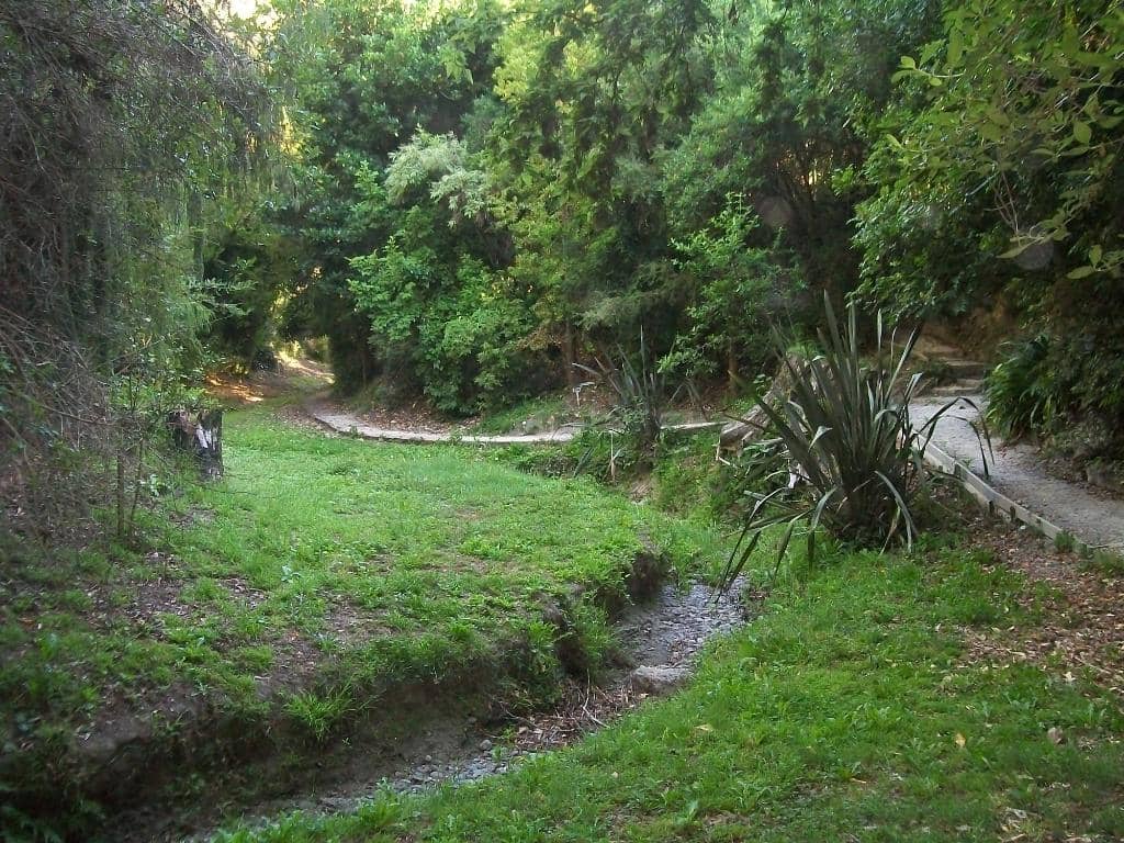 Birdsong Haven
