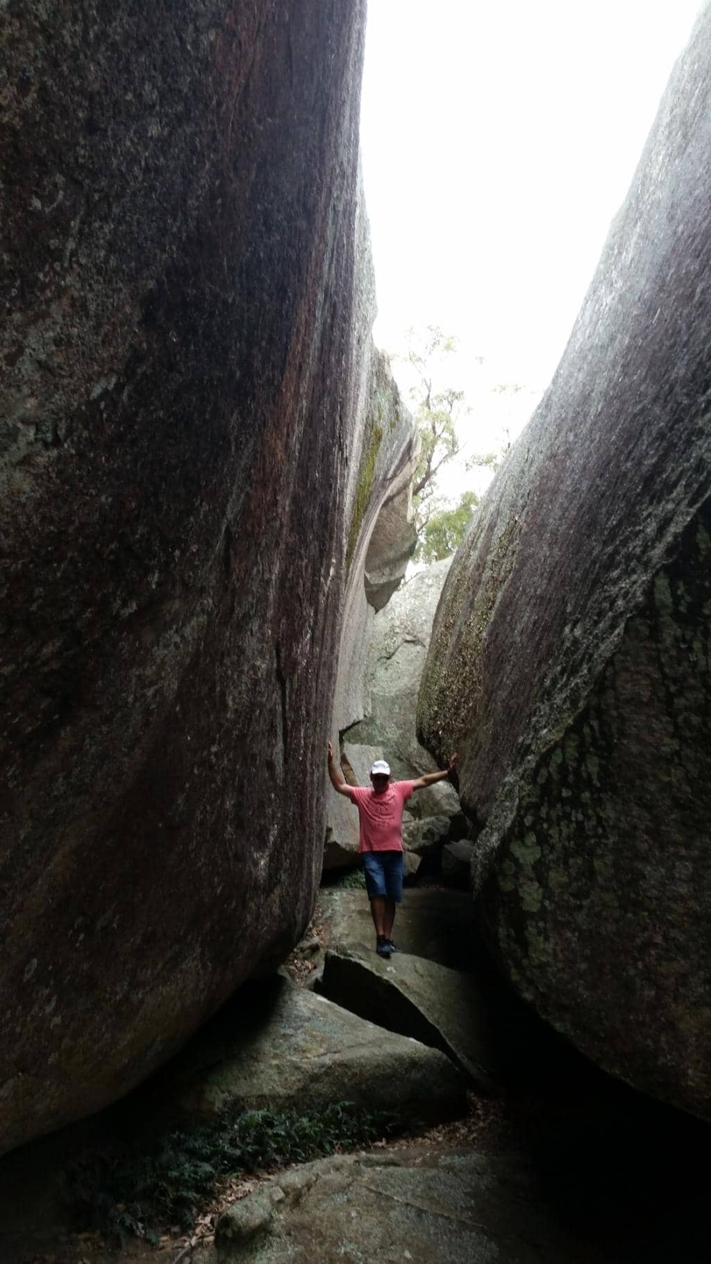 Vertical photo