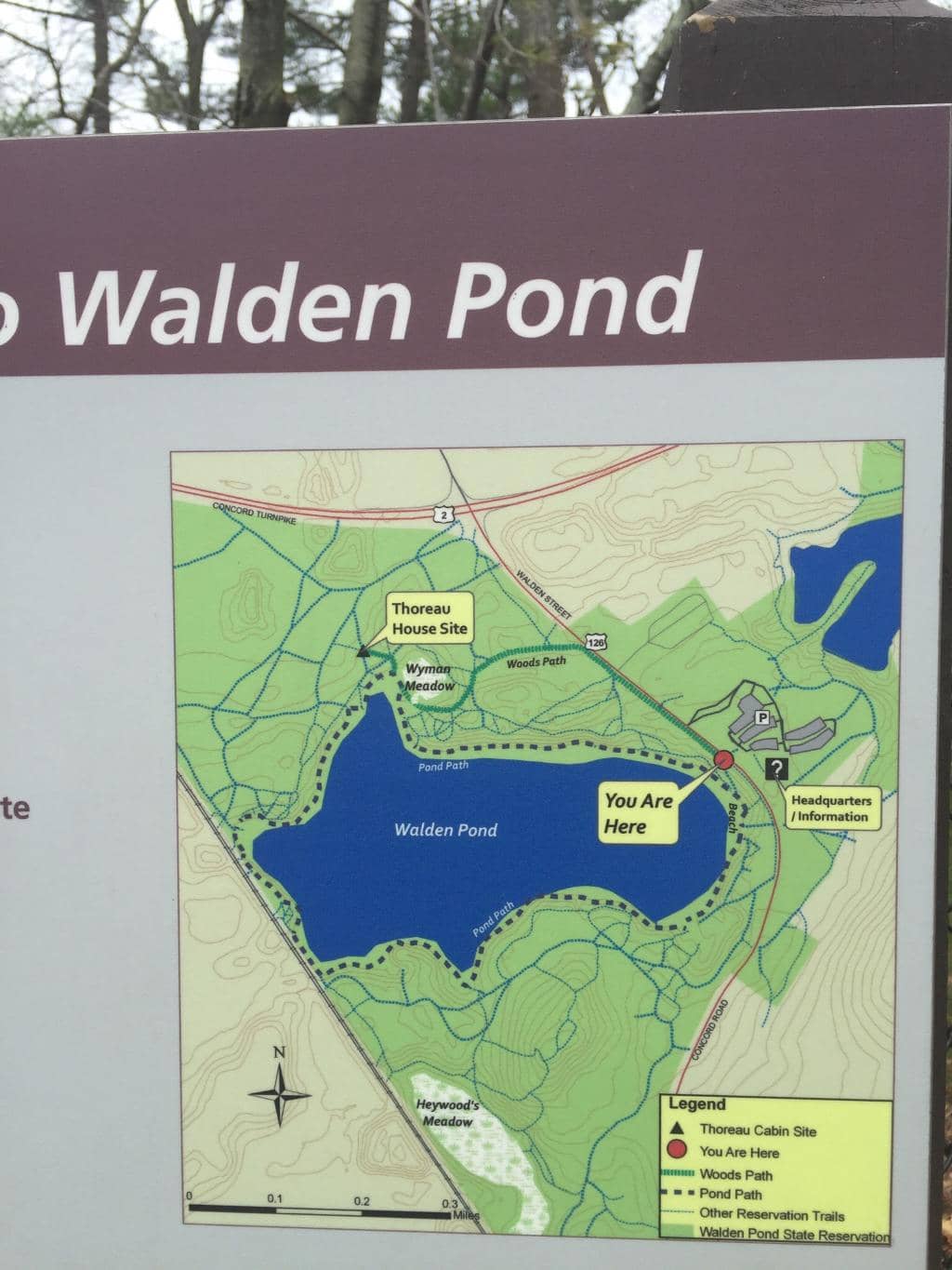 The 1.7-Mile Loop Trail