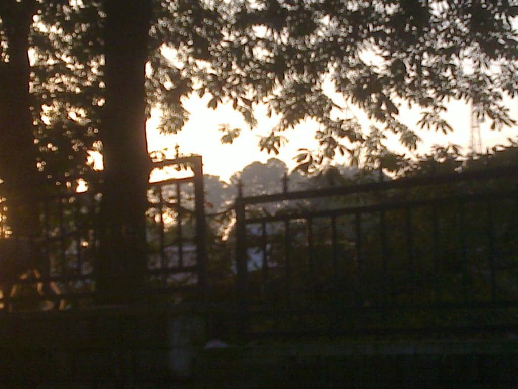 Panoramic Vistas