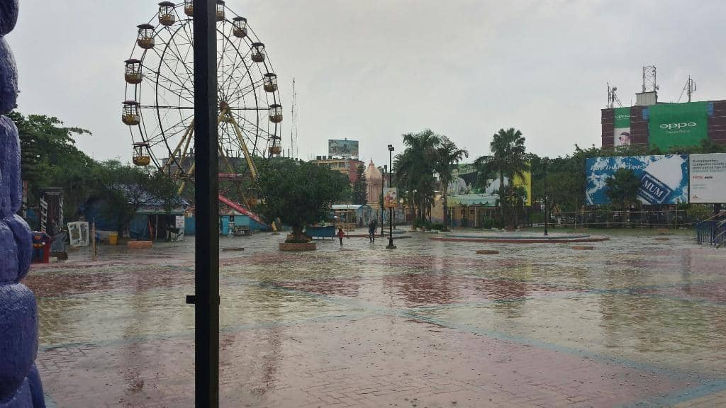 Thrilling Roller Coasters