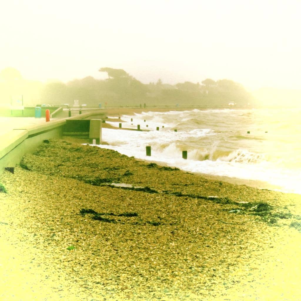 Pebbly Beach Strolls