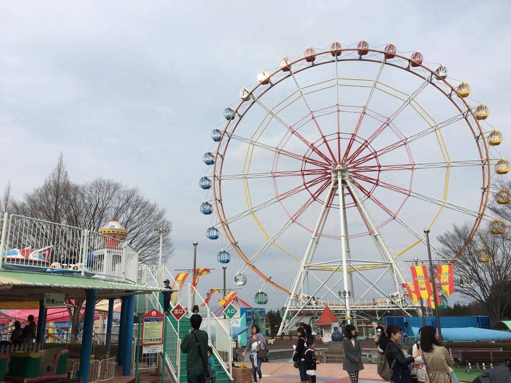 Go-Kart Thrills