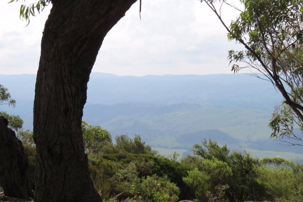 Panorama Point Trek