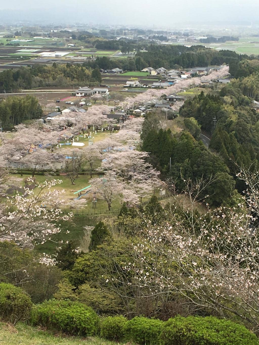 Hilltop Shrine Views