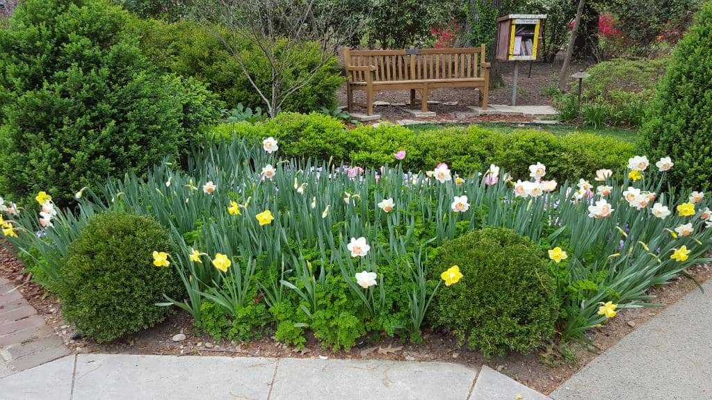 The Gardens in Bloom