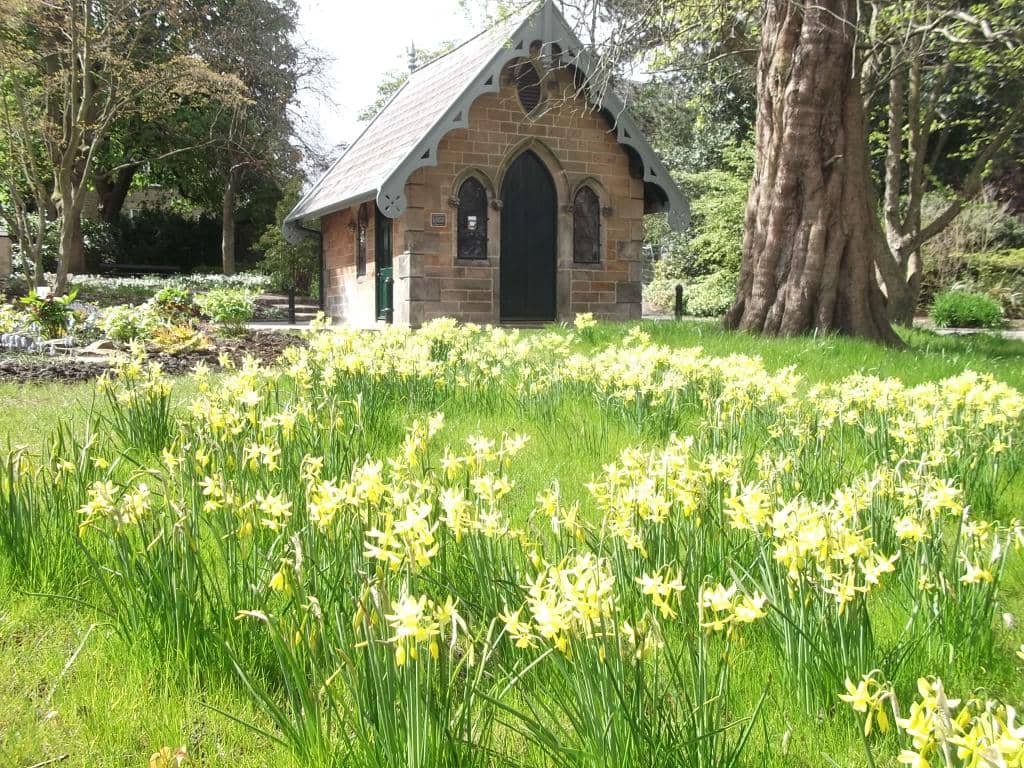 Children's Play Area