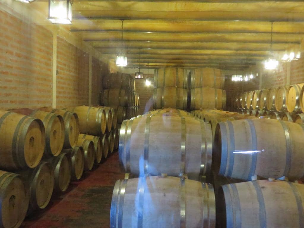 Breathtaking Vineyard Views