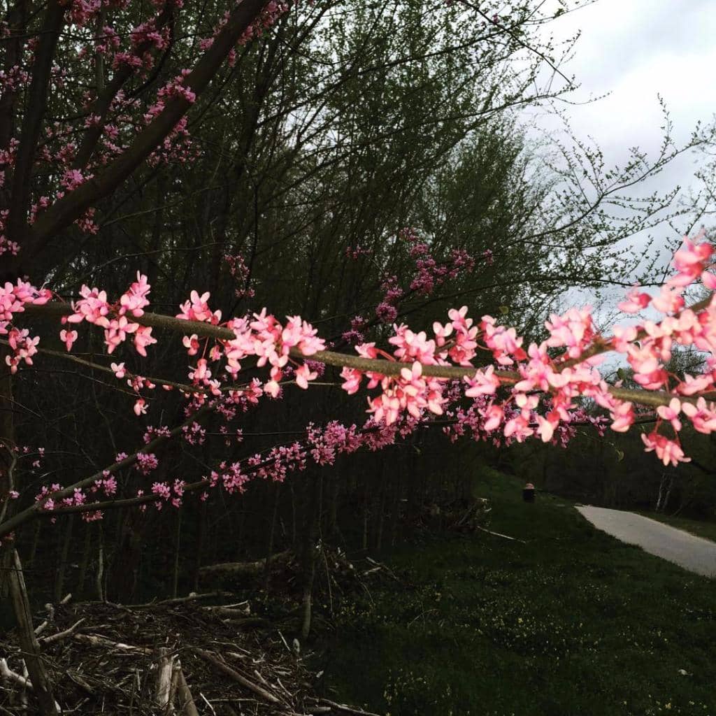 Lady of the River Mural