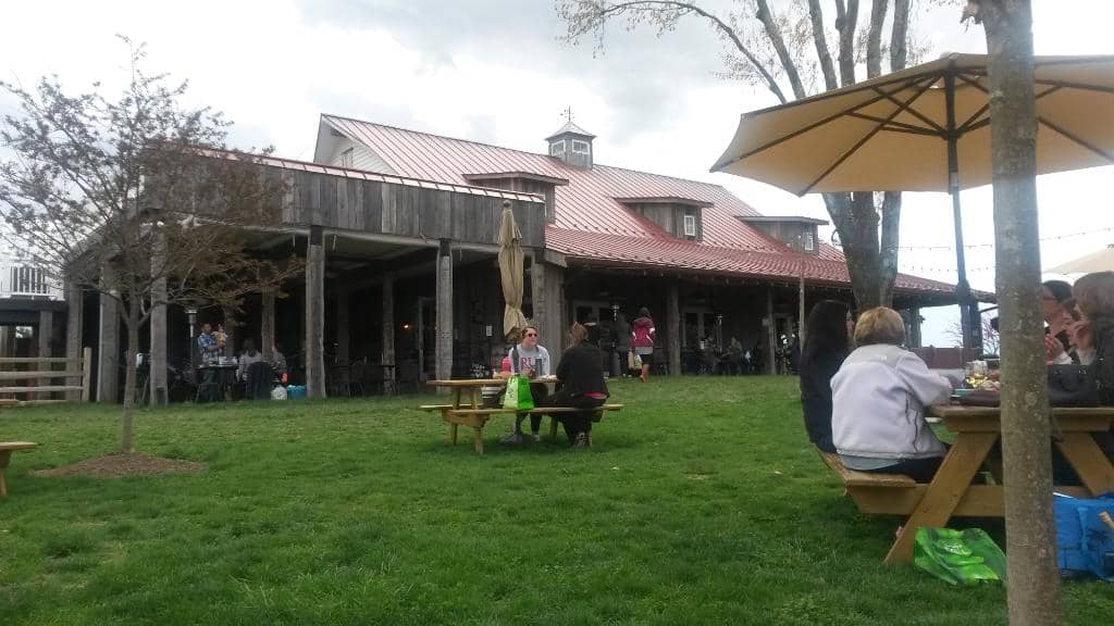 Scenic Vineyard Views