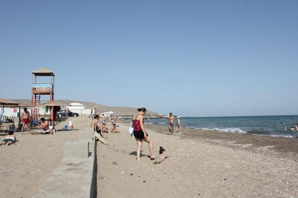 Family-Friendly Atmosphere