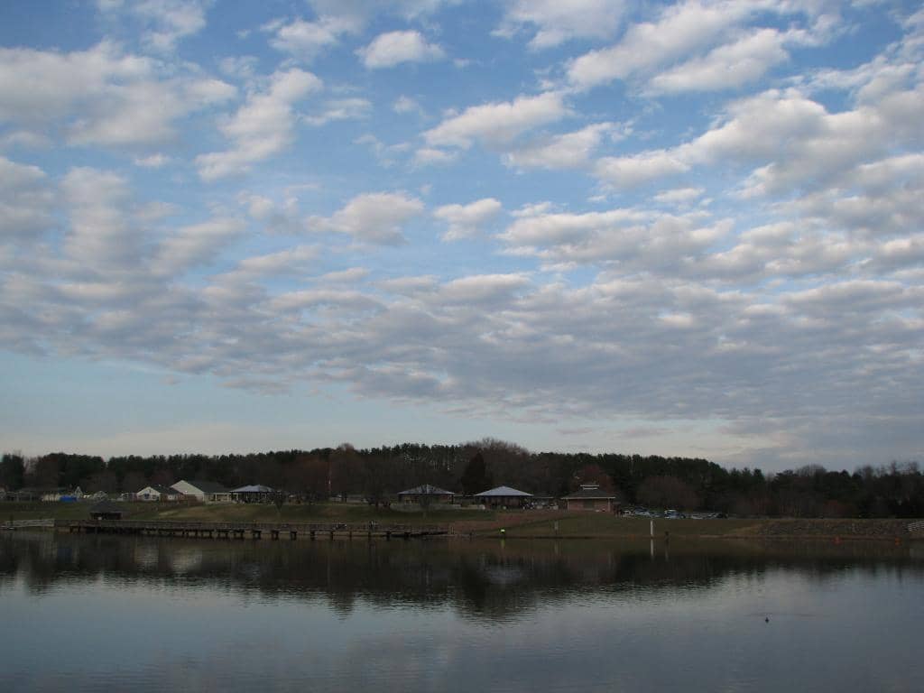 Picnic & BBQ Areas