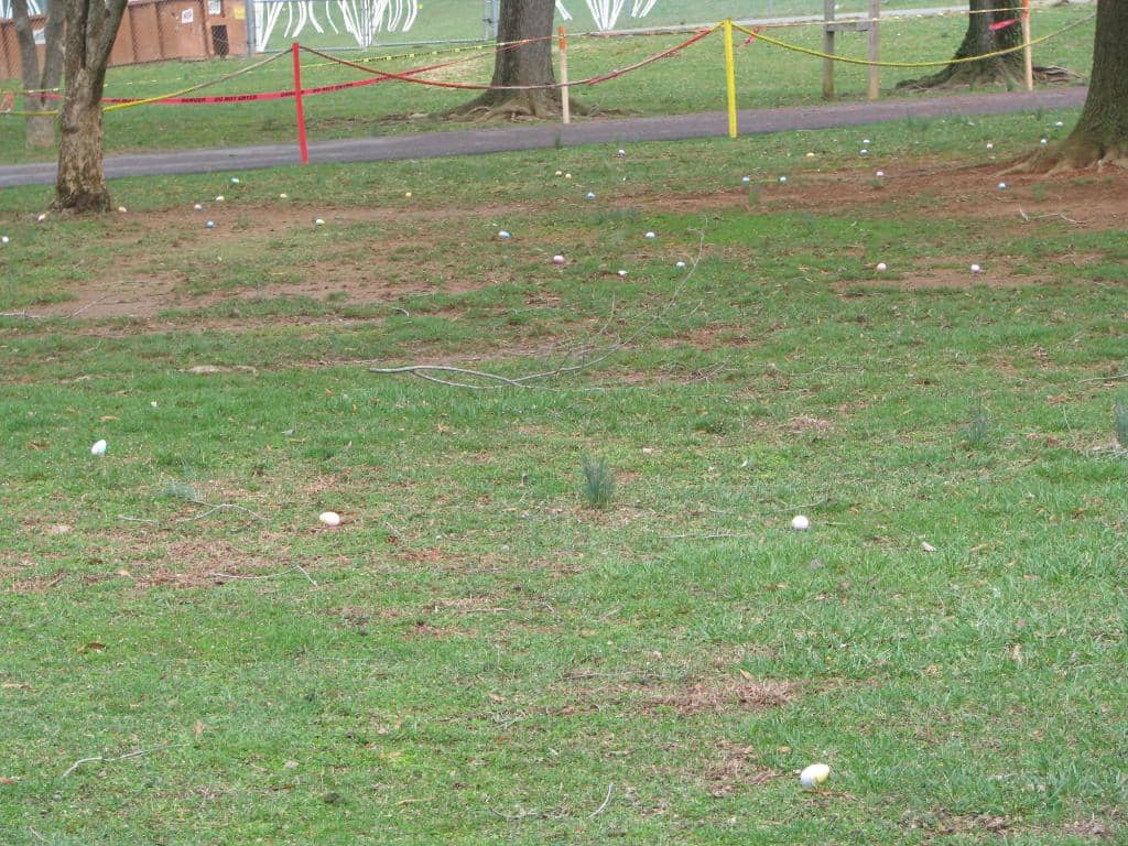 Playground & Carousel
