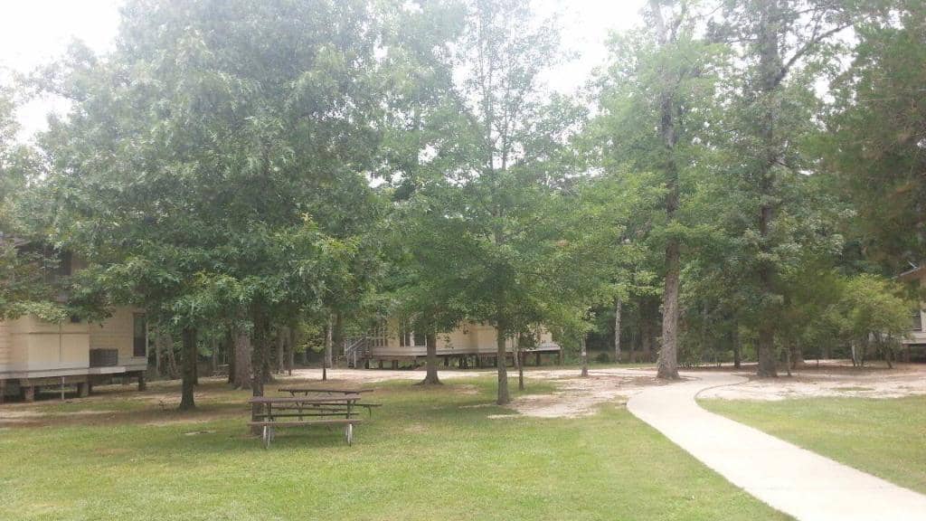Bartholomew River Kayaking