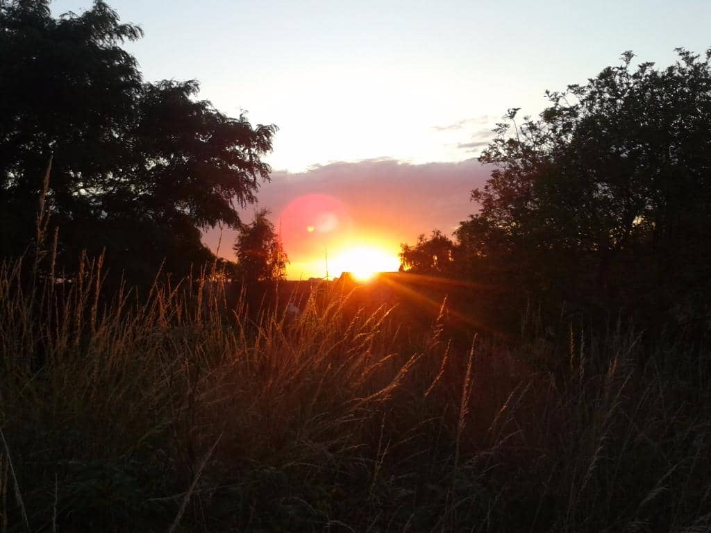 Panoramic Norwich Views