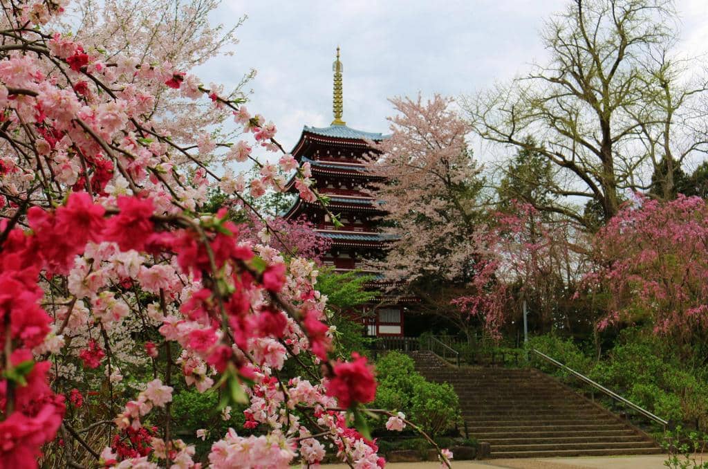 Peaceful Temple Atmosphere