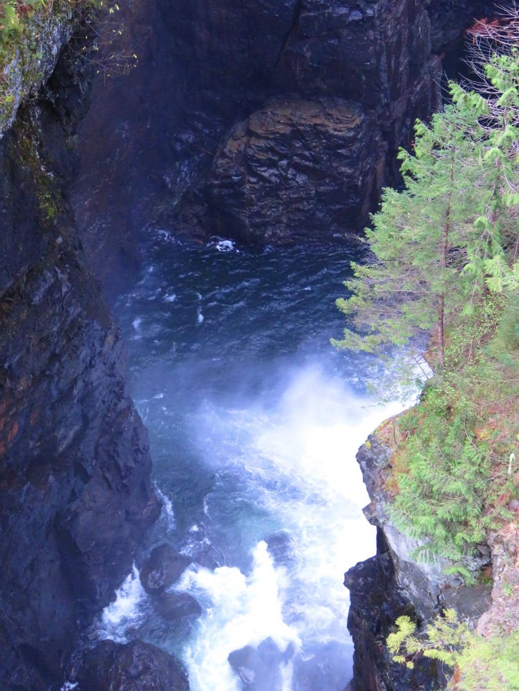 Vertical photo