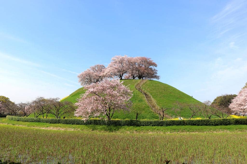 Ancient Burial Mounds (Kofun)