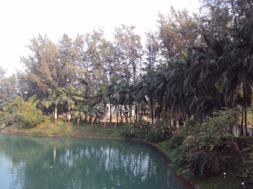 Relaxing Lazy River