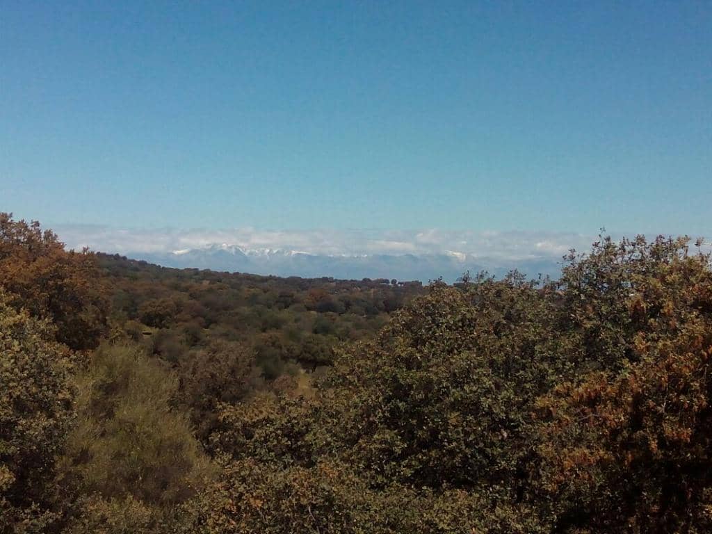 Abandoned Stations & Trains