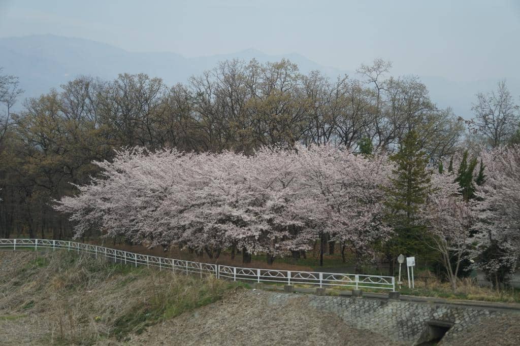 Sagami Bay Overlook