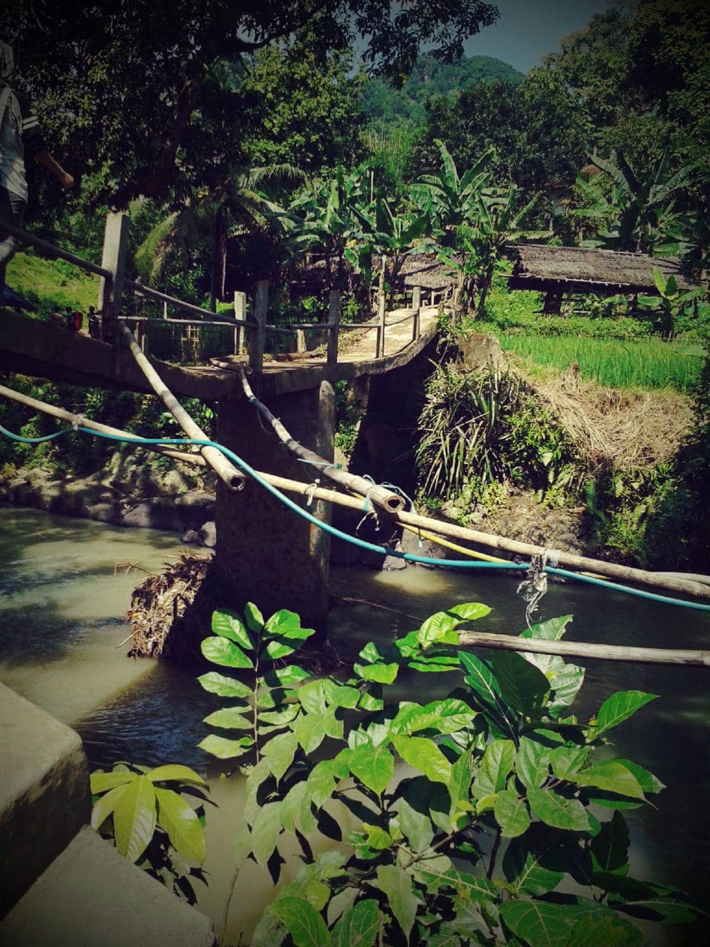 Vertical photo