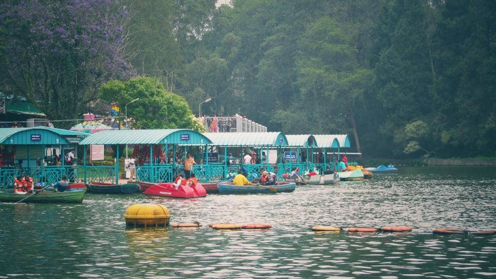 Scenic Views & Photography