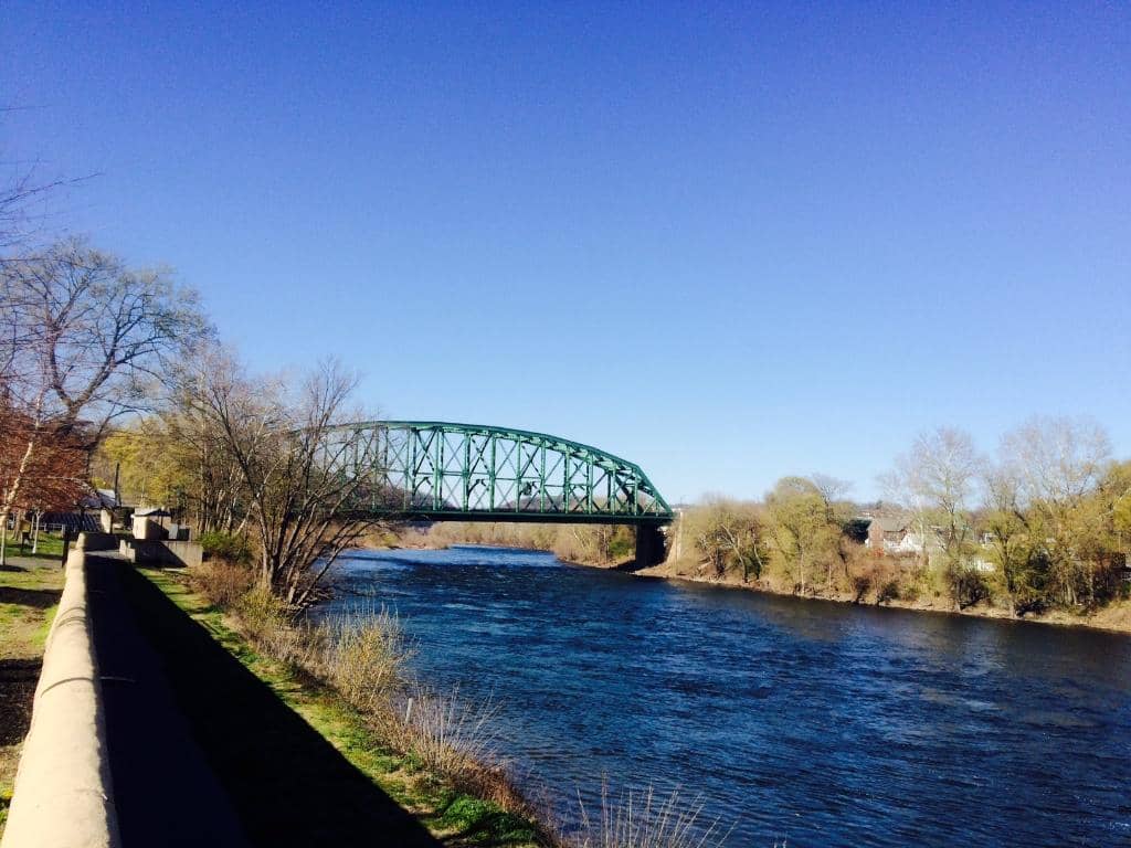 Free Bridge Views