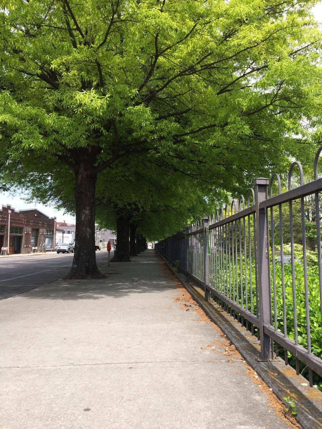 Tennessee River Views