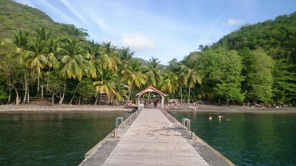 Abundant Marine Life