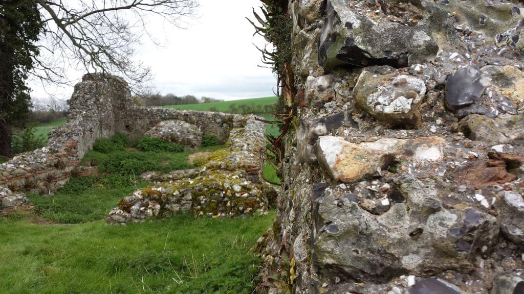 Poppy Bloom Spectacle