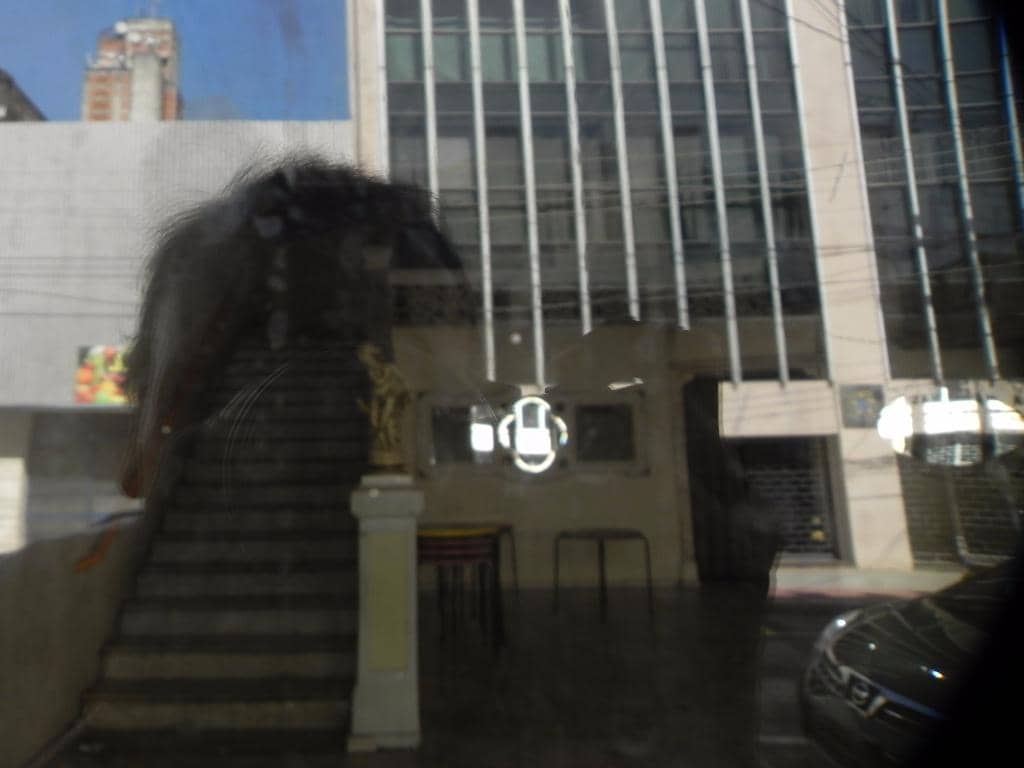 Cultural Performances