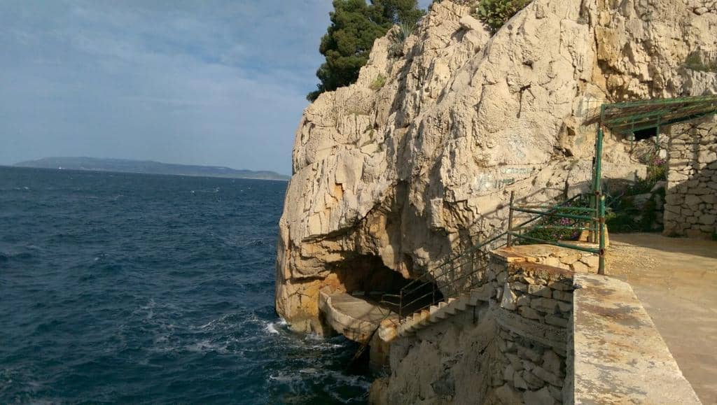Vertical photo